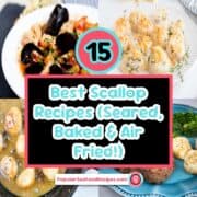 15 best scallop recipes seared baked air fried