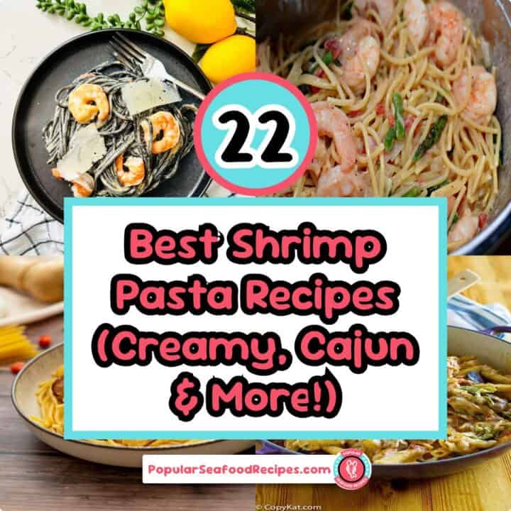 22 best shrimp pasta recipes creamy cajun more