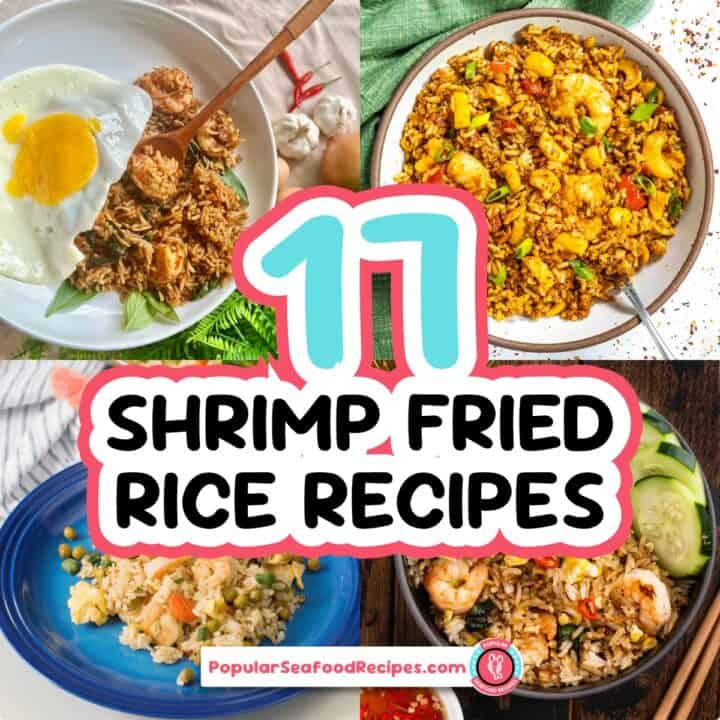Assorted shrimp fried rice dishes with vegetables and eggs, showcasing flavorful seafood recipes.