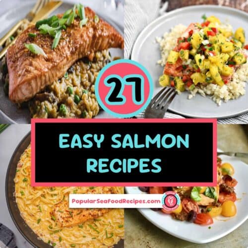 Delicious salmon dishes perfect for weeknight dinners and healthy eating.